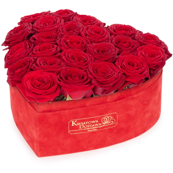12.402.Czerwone róże w czerwonym, welurowym pudełku.jpg