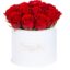 Róże czerwone_Średni_Welur_biały.jpg