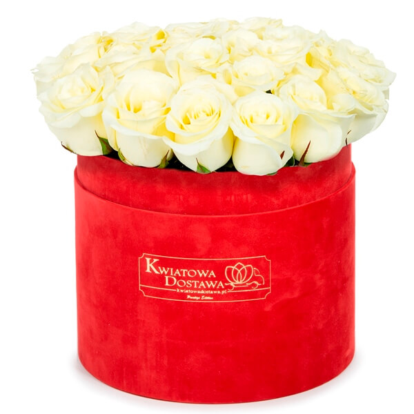 Białe Róże w czerwonym, welurowym pudełku 