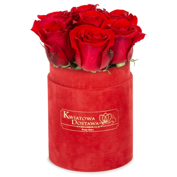 Czerwone Róże w różowym, welurowym pudełku  