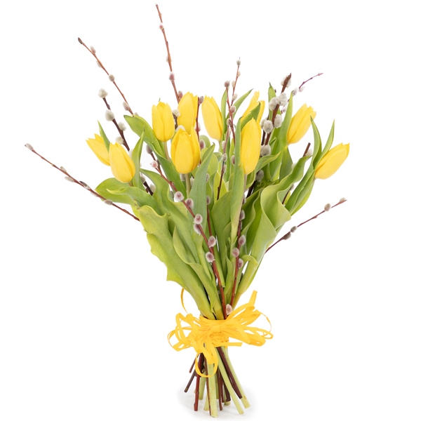  Tulipany z baziami