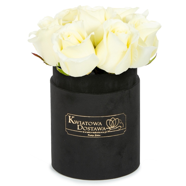 Białe Róże w różowym, welurowym pudełku
