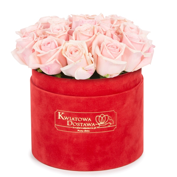 Różowe Róże w czerwonym, welurowym pudełku 