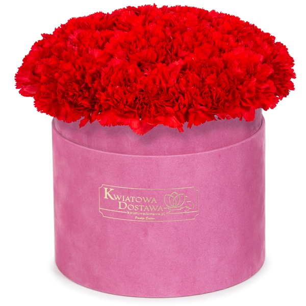 Czerwone Goździki w różowym, welurowym pudełku