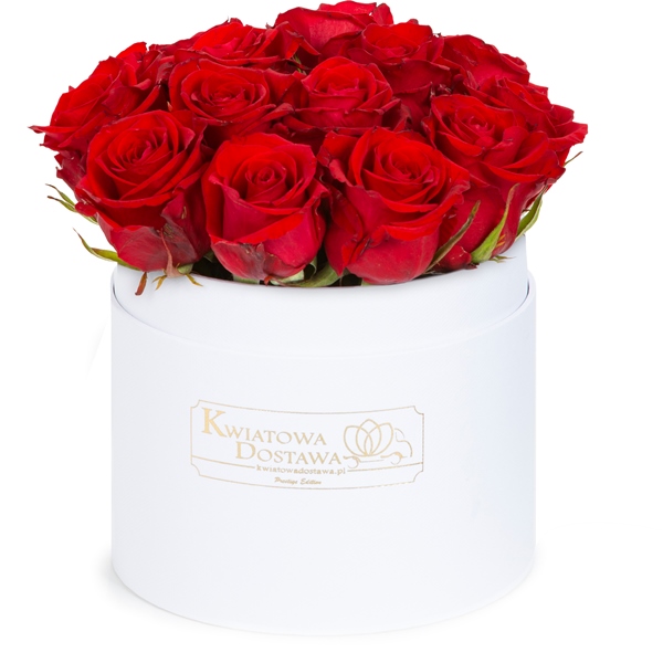 Czerwone Róże w białym, welurowym pudełku  