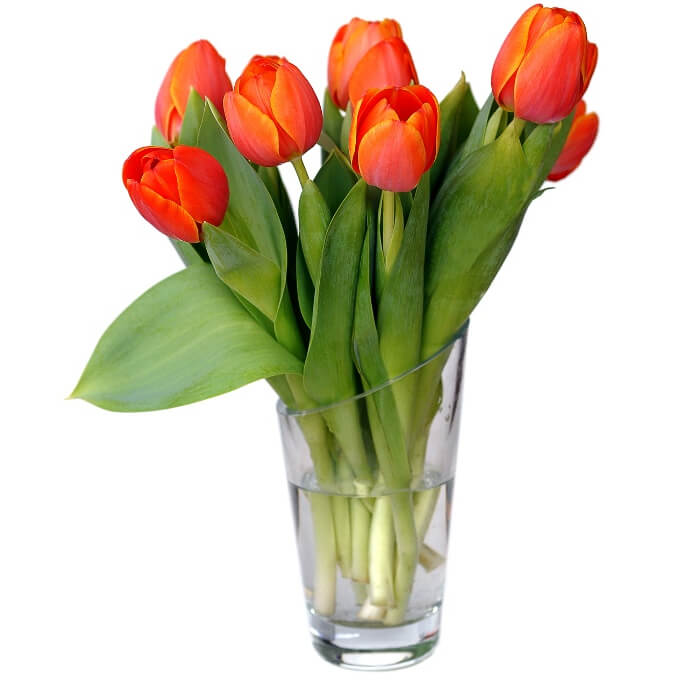 Tulipany w wazonie 7 szt.