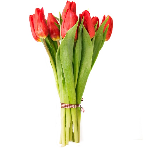 Bukiet Tulipan