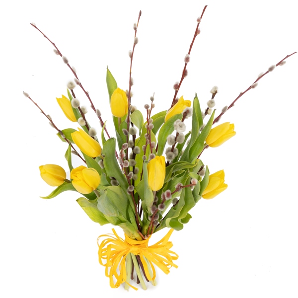 Tulipany z baziami