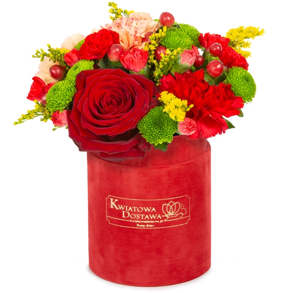 Kwiaty mieszane w czerwonym welurowym pudełku 