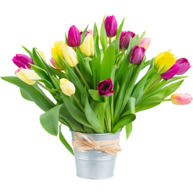 Kwiaty Tulipany w naczyniu