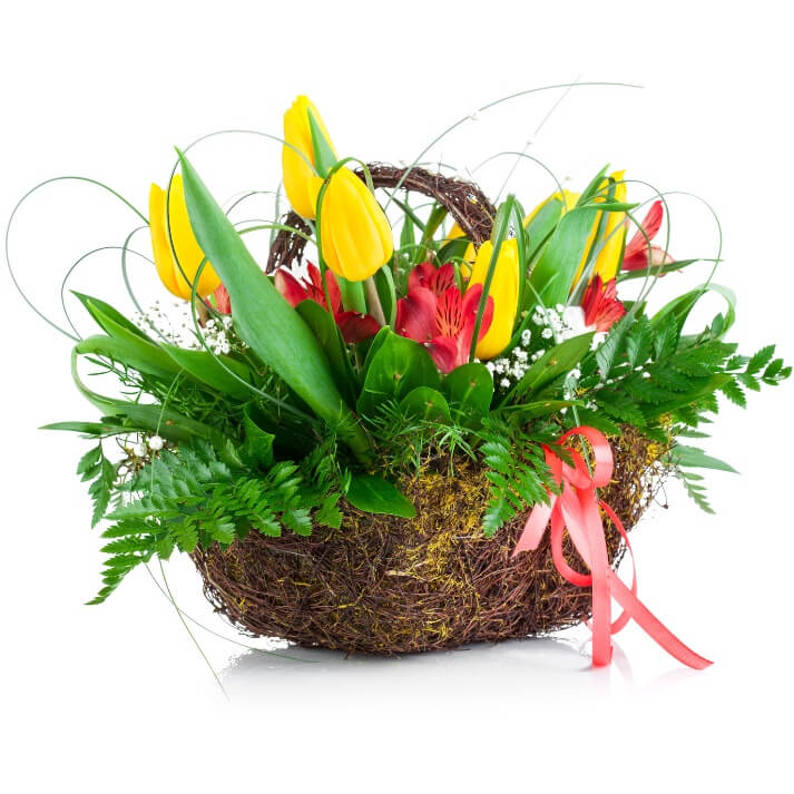 Tulipany w zieleni