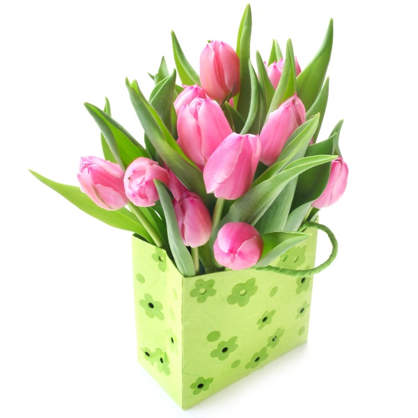 Tulipany w torebce 15 szt.