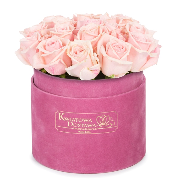 Różowe Róże w różowym, welurowym pudełku 