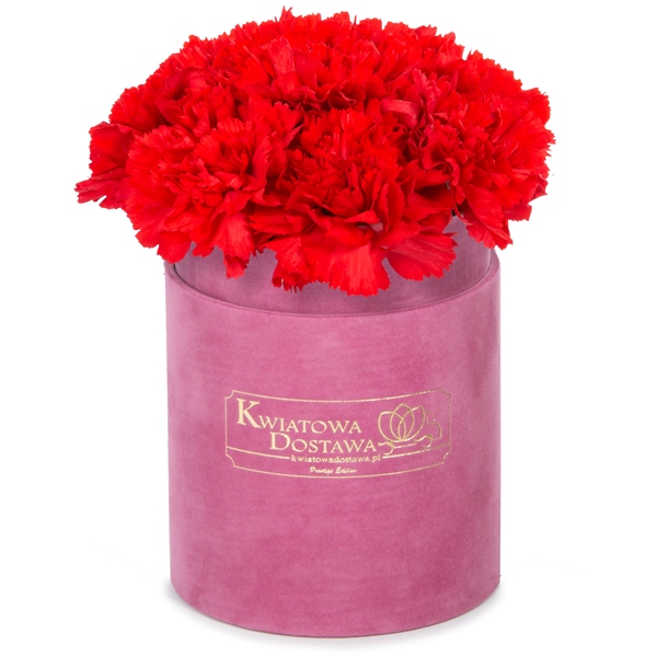 Czerwone Goździki w różowym, welurowym pudełku