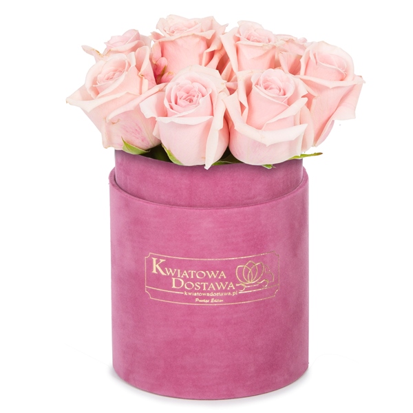 Różowe Róże w różowym, welurowym pudełku   