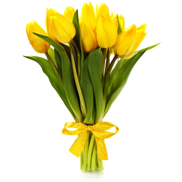 Pachnące Tulipany
