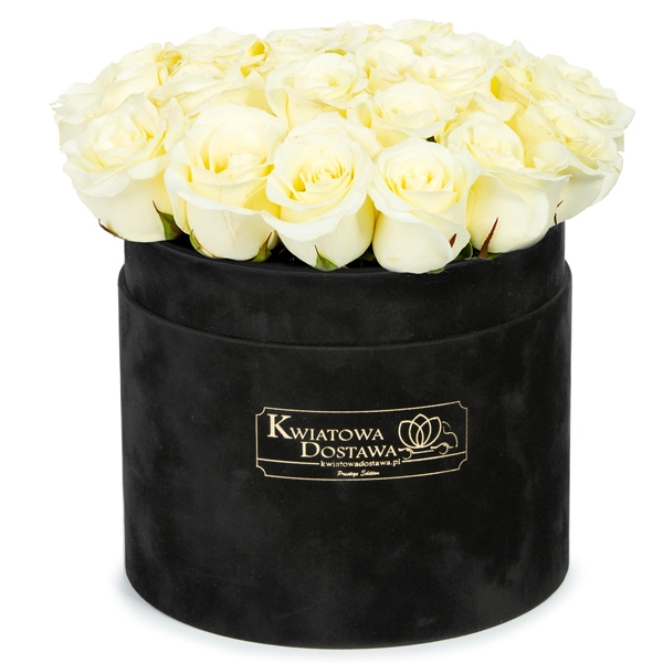 Białe Róże w czarnym, welurowym pudełku