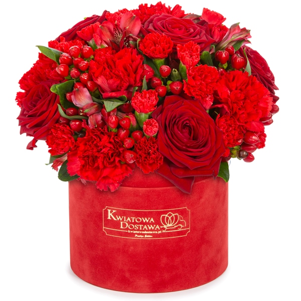 Kwiaty mieszane w czerwonym, welurowym pudełku