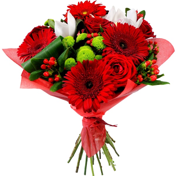 Kwiaty Red flowers