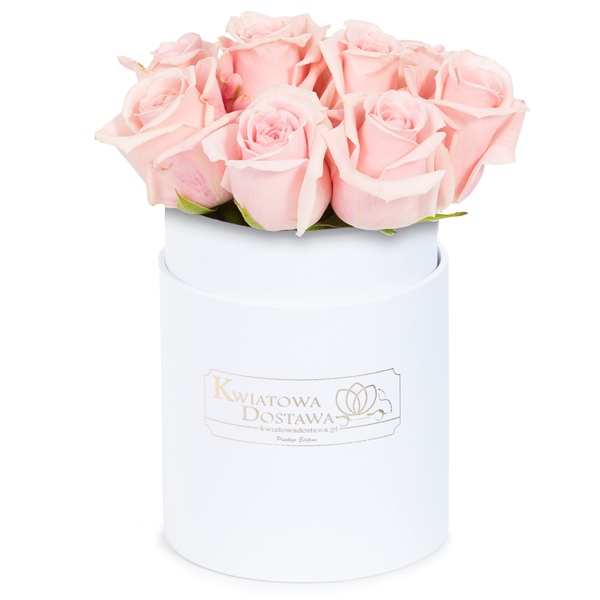 Różowe Róże w białym, welurowym pudełku  