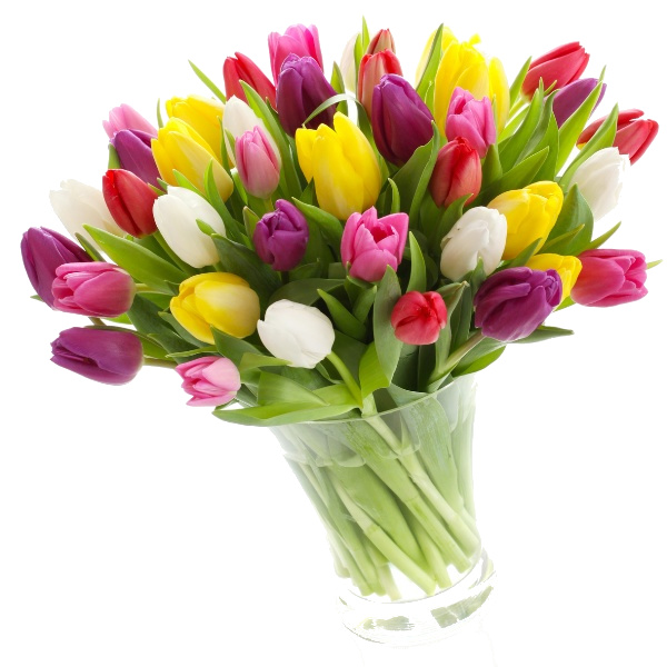 Kolorowe tulipany 35 szt. w wazonie