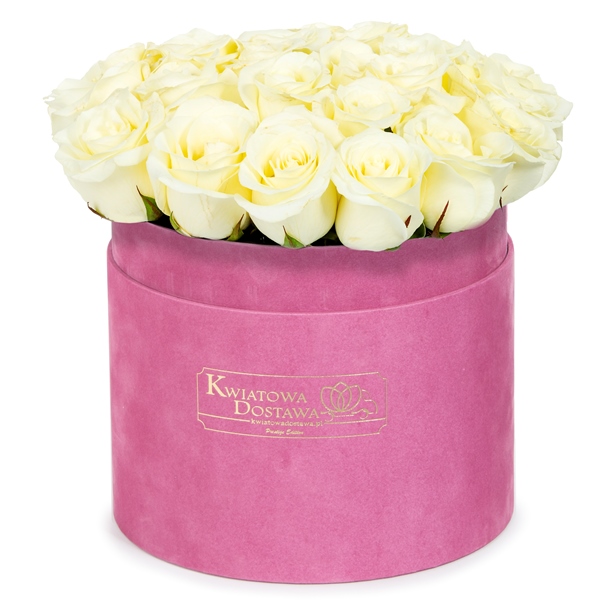 Białe Róże w różowym, welurowym pudełku 