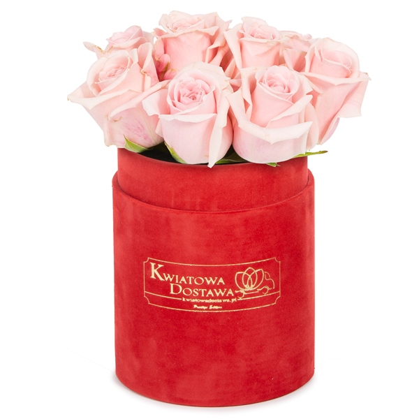 Różowe Róże w czerwonym, welurowym pudełku