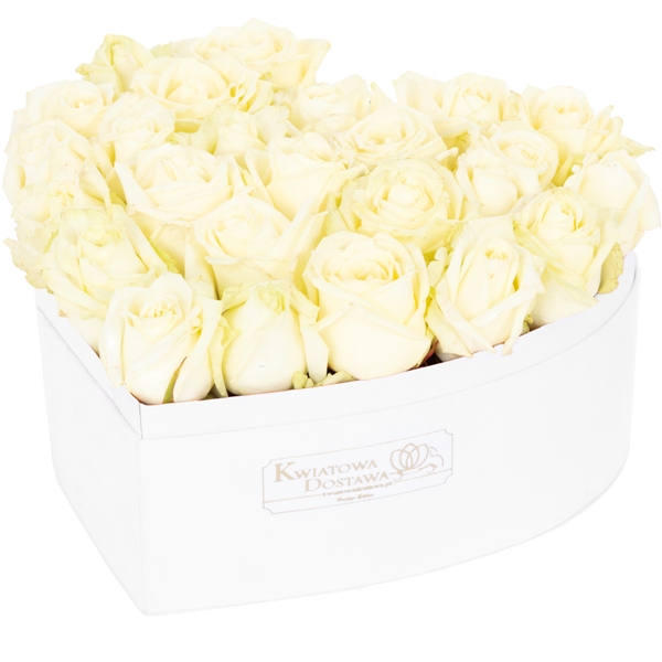 12.404 Białe róże w białym pudełku.jpg